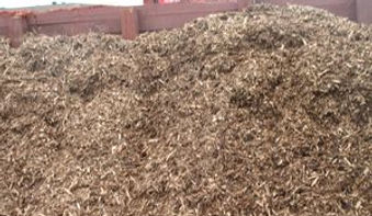 Playground Chips