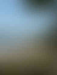 The Galaxy, Koh Chang