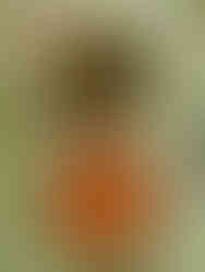 Tui Mu Kratha-Mu Chum - Bangkok