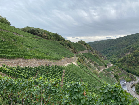 Weinberg Deutschland