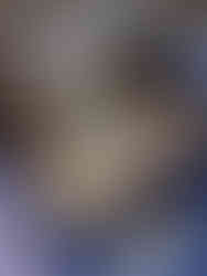 Weihnachtsmarkt in Bangkok