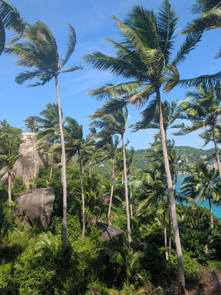 John-Suwan Viewpoint, Koh Tao