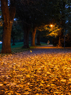 Düsseldorf Herbst