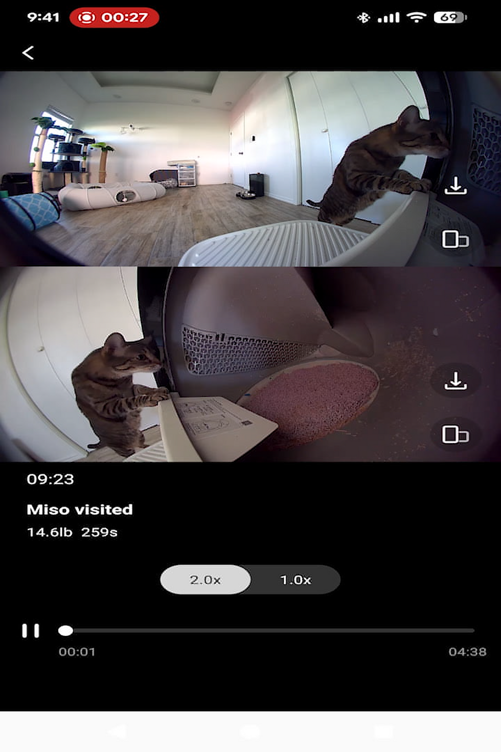 Pet camera screenshot shows a tabby cat climbing a feeder in a bright cat room; text reads Miso visited.