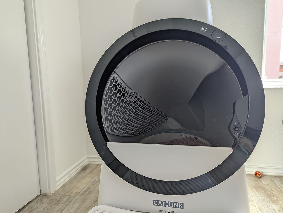 White and black CATLINK automatic litter box in a bright room, with litter inside and a window in the background.