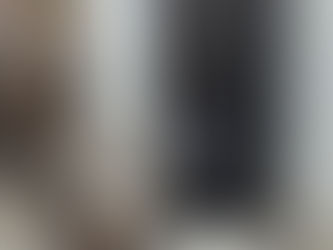 🐾 How an Automatic Feeder Transformed My Cats’ Routine — and My Peace of Mind