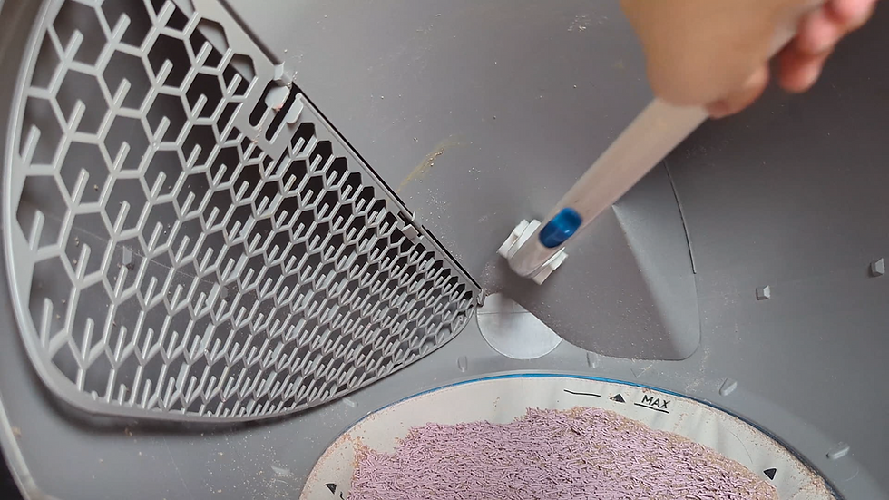 Hand scoops cat litter in a gray plastic litter box with a honeycomb ramp and MAX line visible.