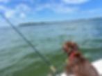 IMG_9872.jpeg