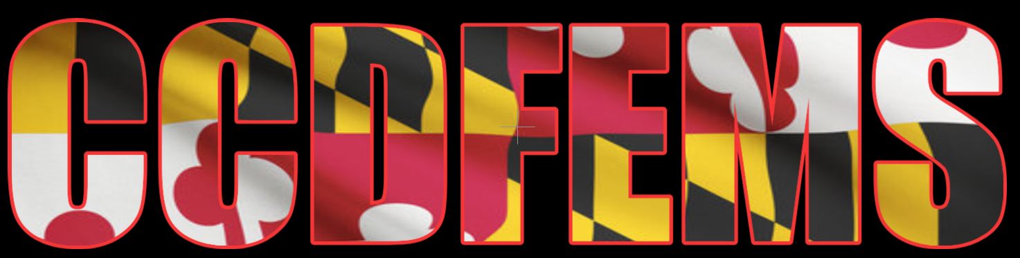 Carroll County Department of Fire & EMS Maryland Flag Back