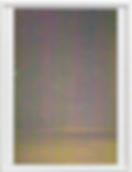 ree