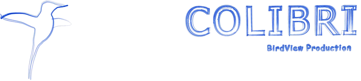 COLIBRI : Prestations par drone