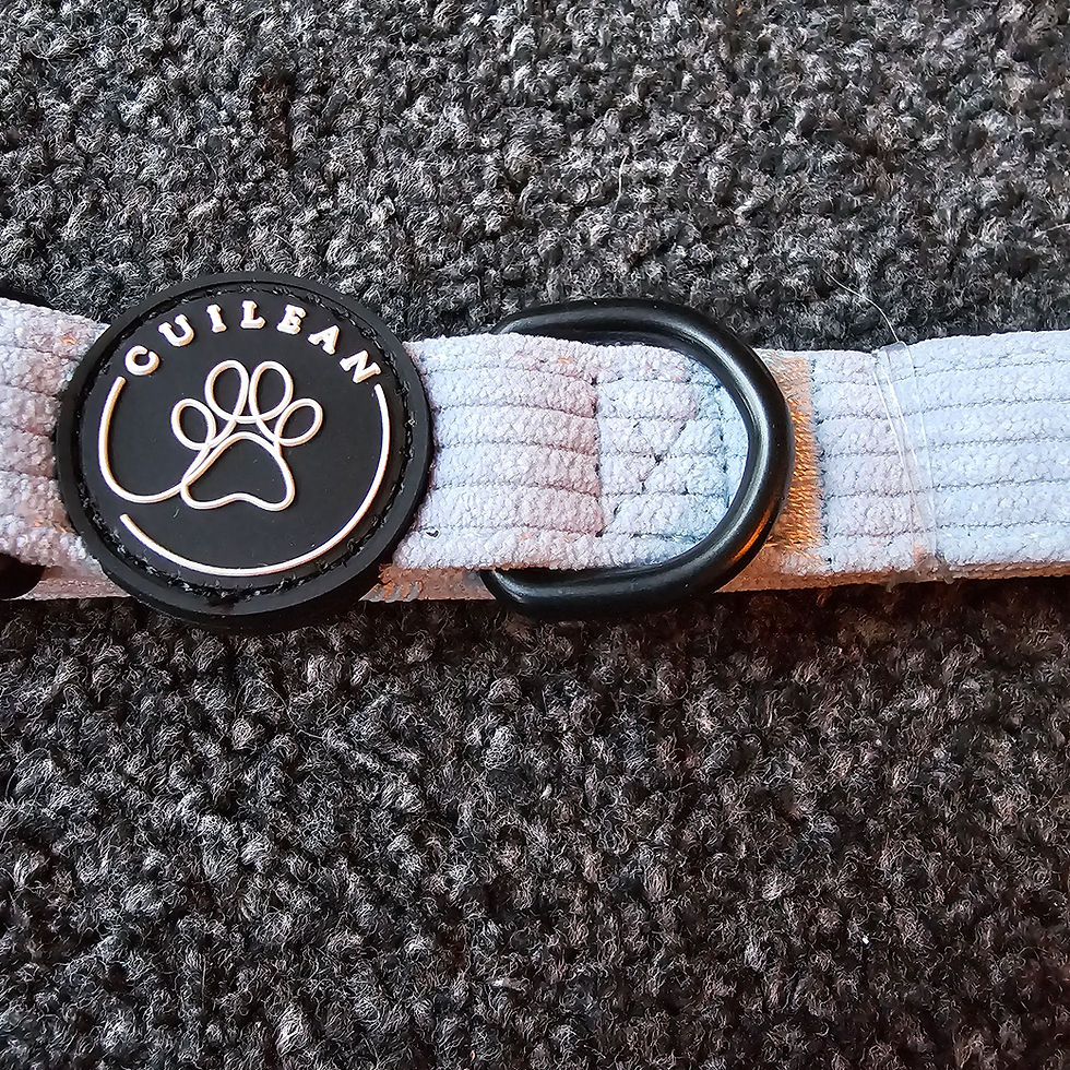 Thumbnail: Cuilean Velvet and Teddy Collars