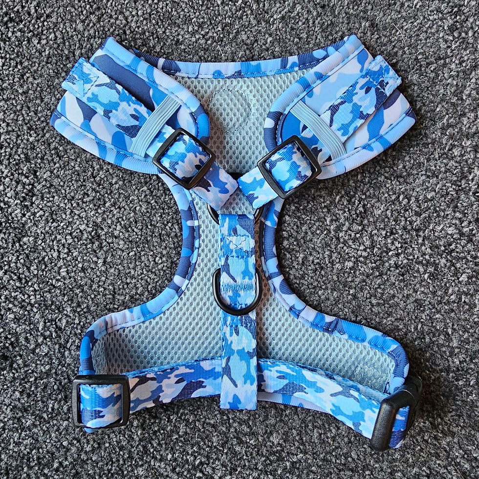 Thumbnail: Cuilean Harness Printed Design