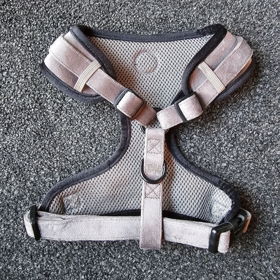 Thumbnail: Cuilean Harness Velvet