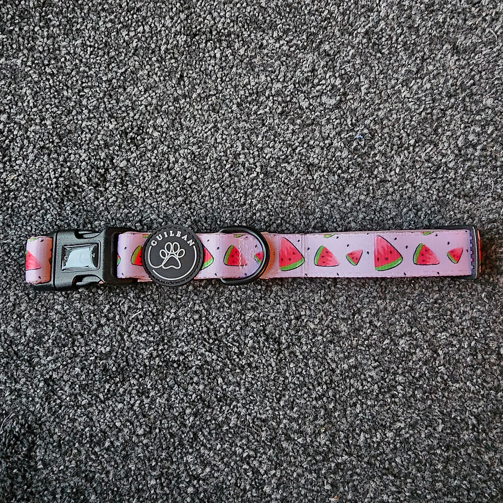 Thumbnail: Cuilean Printed Collar