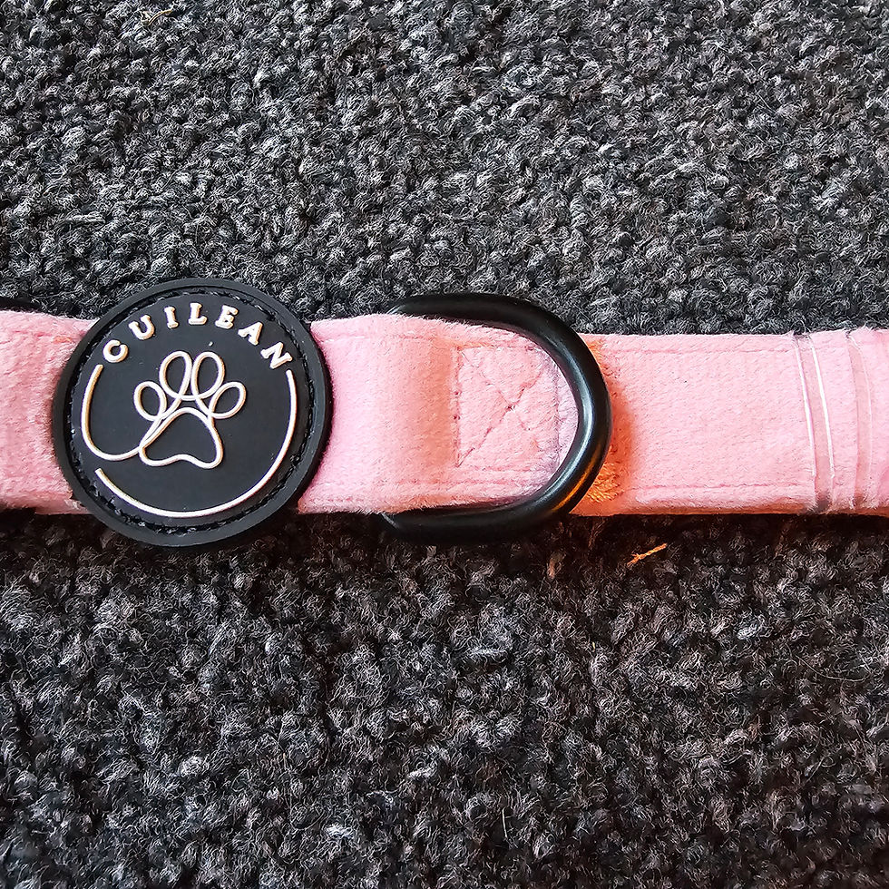 Thumbnail: Cuilean Velvet and Teddy Collars