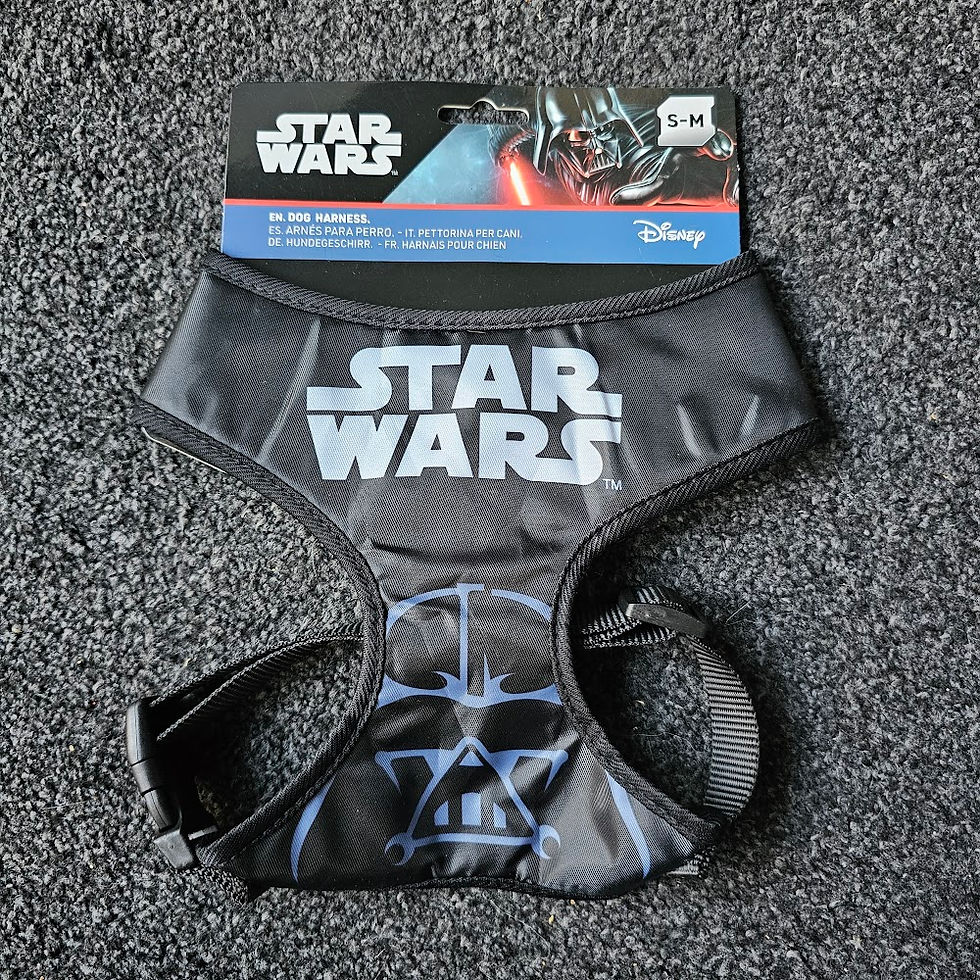 Thumbnail: Character Dog Harness