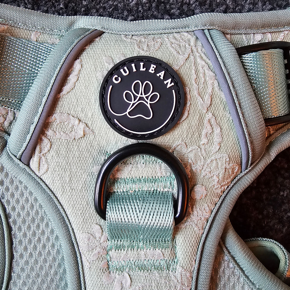 Thumbnail: Cuilean Climber Harness