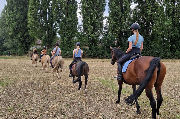 Reitstunden 