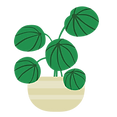 Potted-plant-2.png