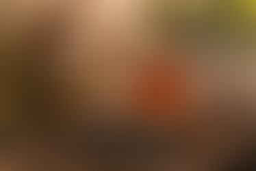 Le rooibos : ceci n'est pas un thé