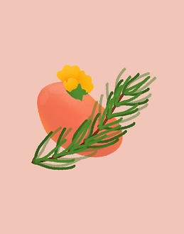 Capture d’écran 2020-07-27 à 13.55.16.pn