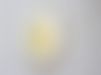 BON VOYAGE - Der Süden ist BLAU!