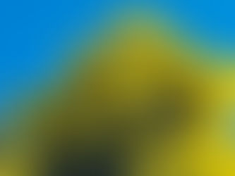 Provence in leuchtendes Gelb getaucht, DAS südfranzösische Parfum für Licht Lebenskraft Aktivität Wärme Klarheit Schutz u. Zuversicht