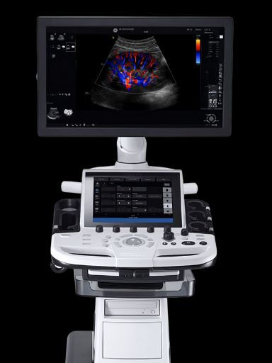 GE Logiq P10
Ultrasound Machine