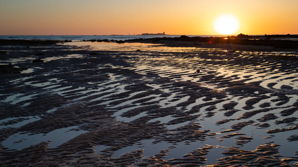 345363-La-Barrosa-Beach.webp