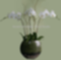Accent_on_Design