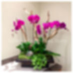 Accent_on_Design