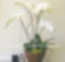 Accent_on_Design
