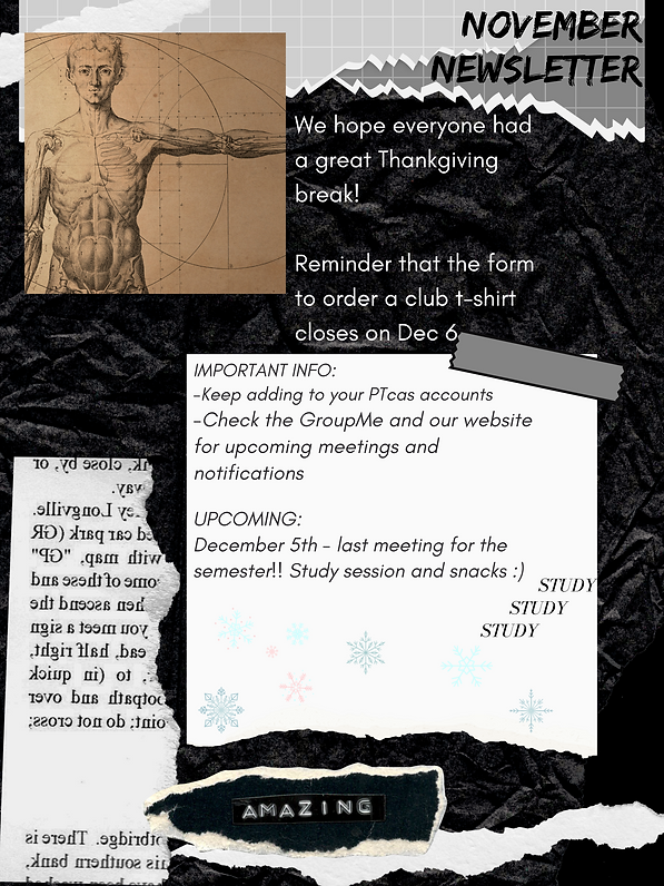 NOVember newsletter.png
