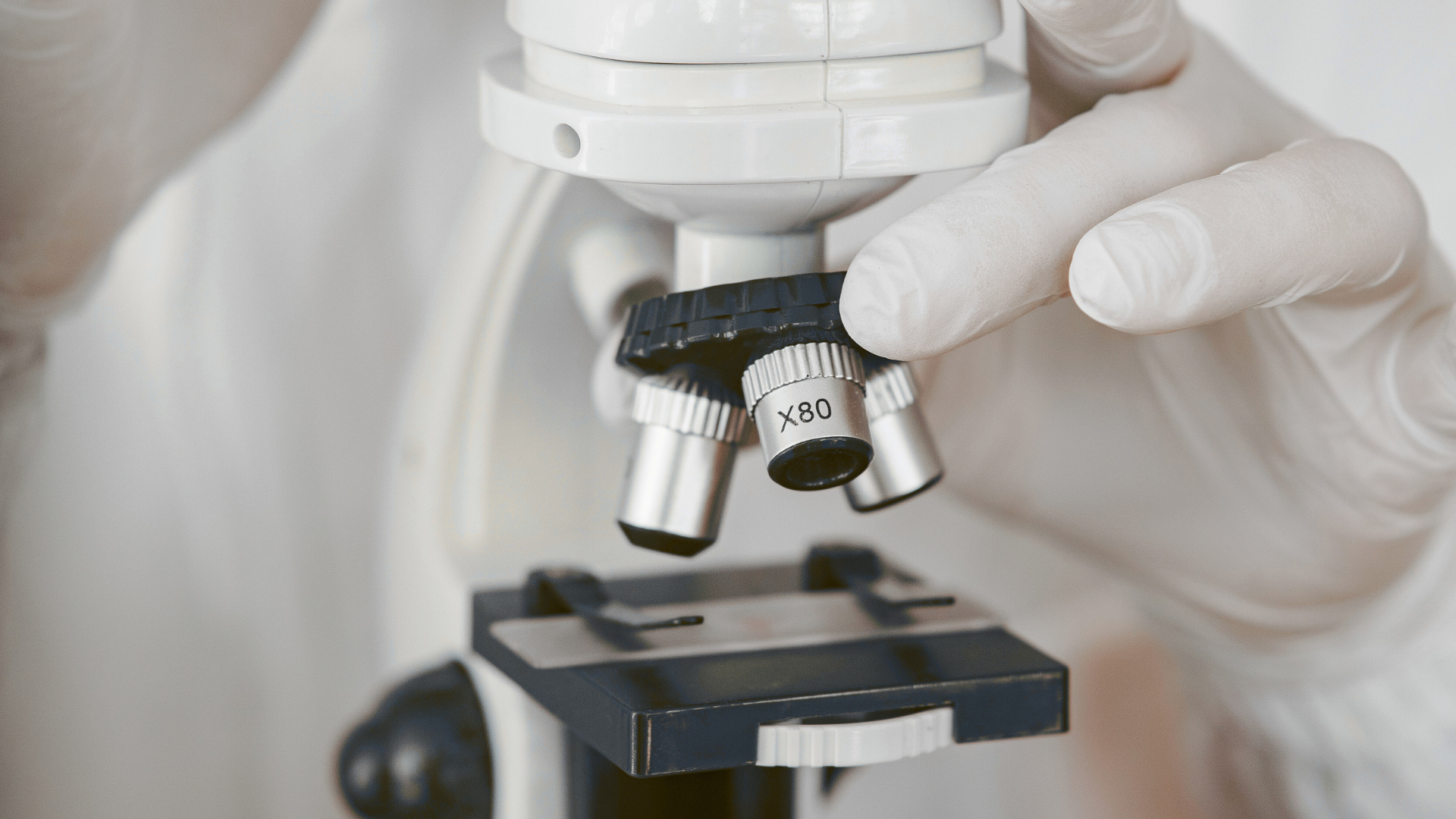 DNA Core : Dein Fundament für personalisierte Gesundheit