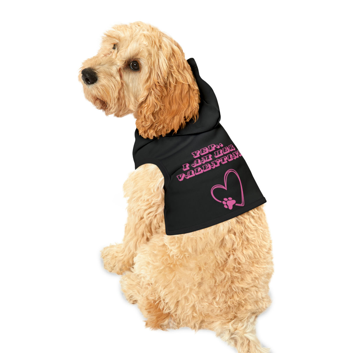 Dog Hoodie -  I am her Valentines   (Matches with Hoodie for Owner)