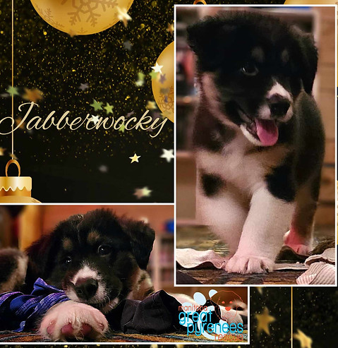 Jabberwocky