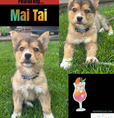 Mai Tai