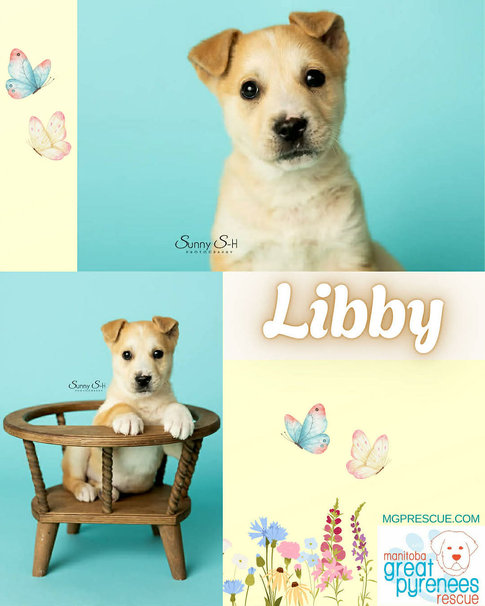 Libby