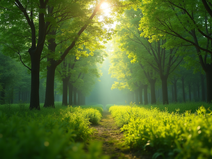 The Importance of Sustainable Living in Today's World