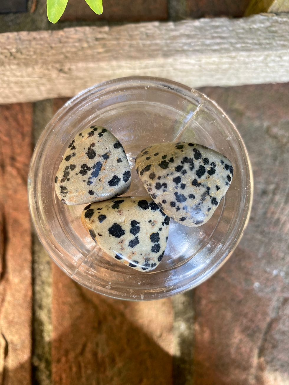 Thumbnail: 3 dalmation tumble stones