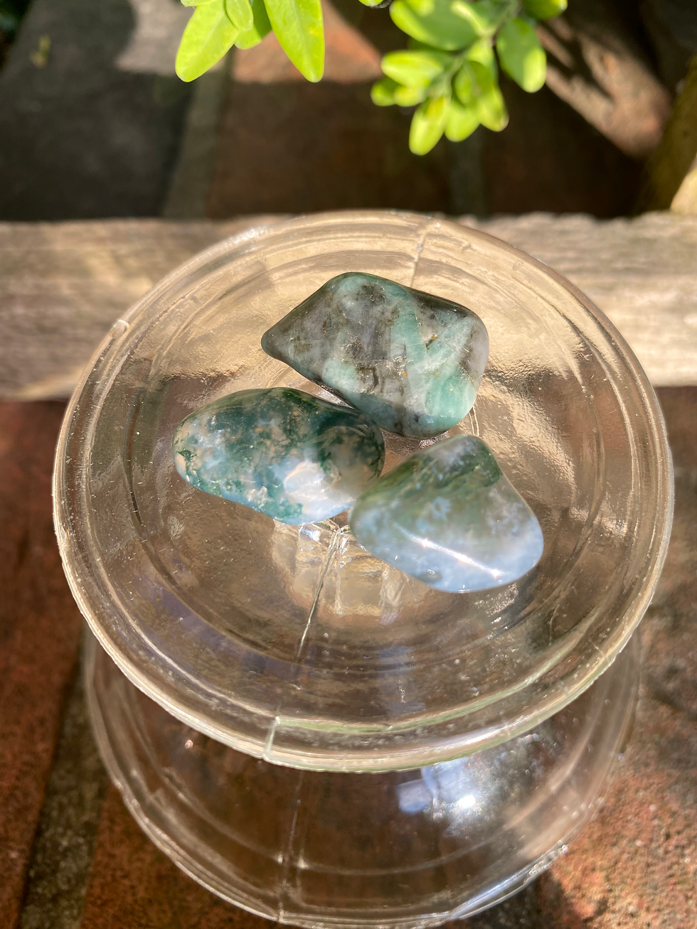 Thumbnail: 3 green moss agate tumbled stones/ small