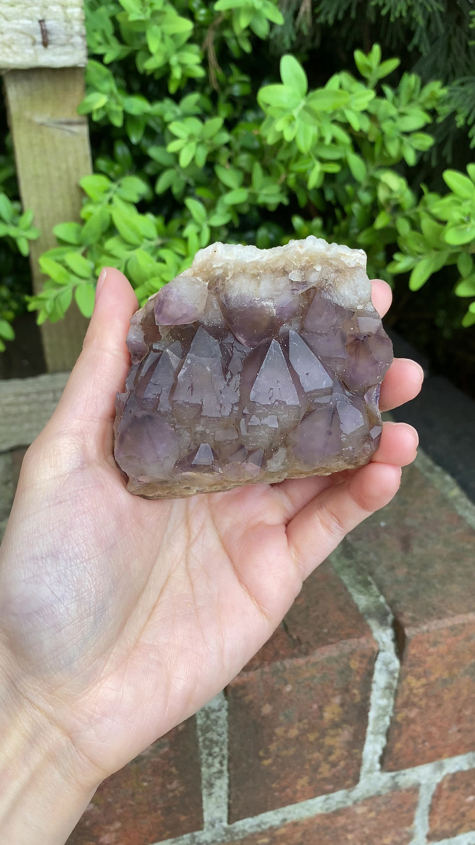 Thumbnail: Smokey amethyst cluster  / 175g