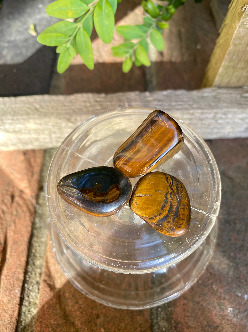 Thumbnail: 3 gold brown tigers eye tumbled stones / Small
