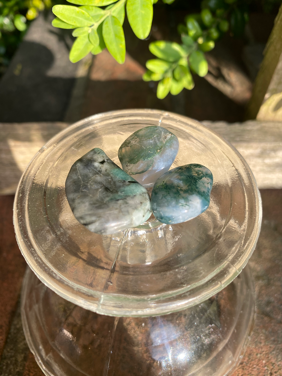 Thumbnail: 3 green moss agate tumbled stones/ small