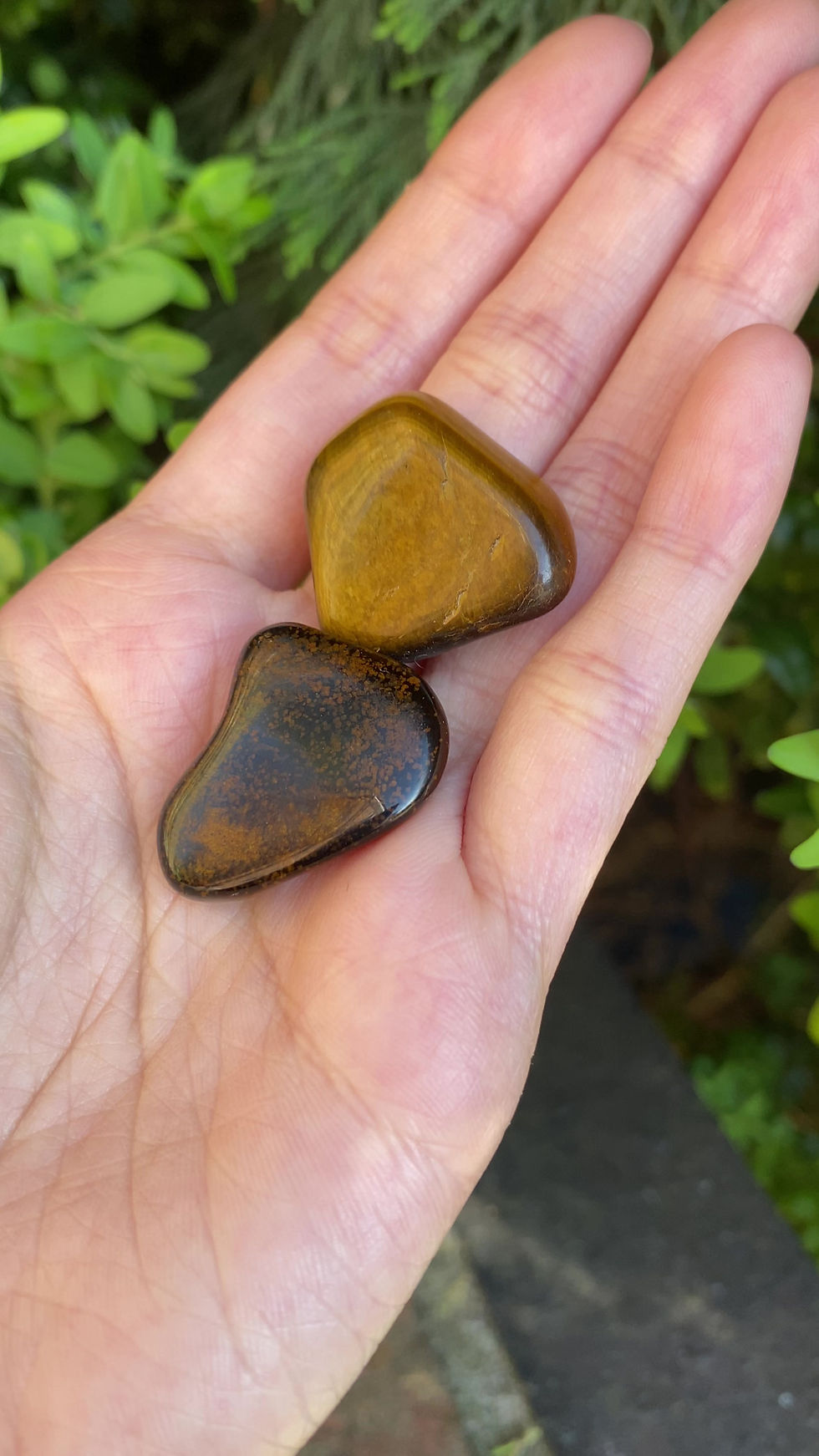 Thumbnail: 2 gold brown tigers eye tumbled stones / Small