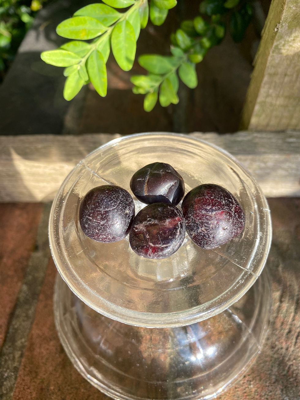 Thumbnail: 4 red garnet tumbled stones / medium