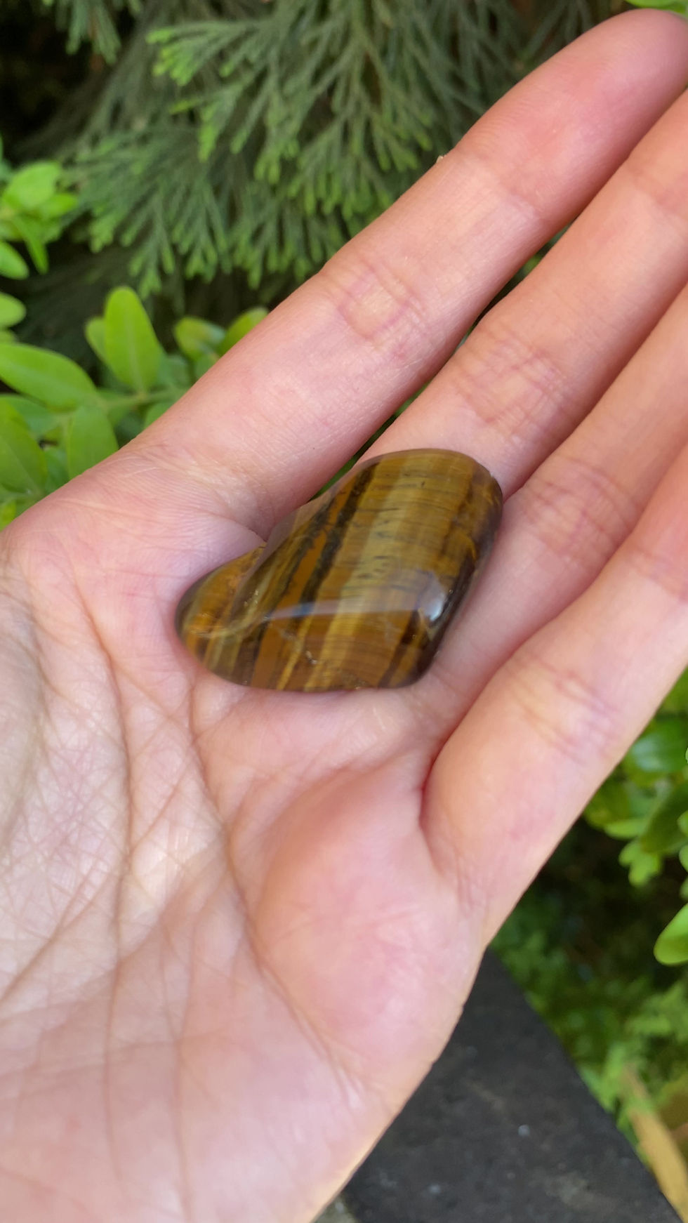 Thumbnail: 1 gold brown tigers eye tumbled stone / Small