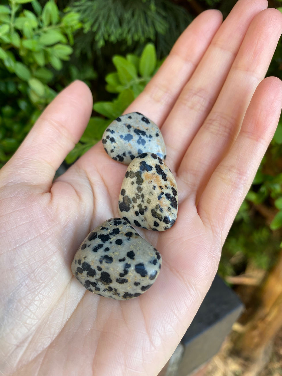 Thumbnail: 3 dalmation tumble stones