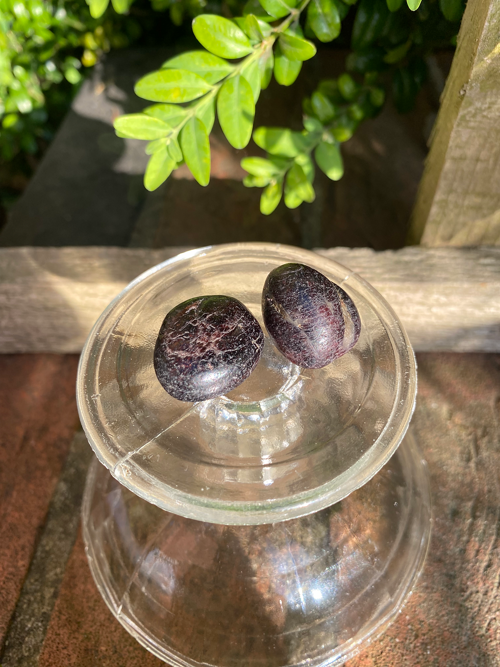 Thumbnail: 2 red garnet tumbled stones / large